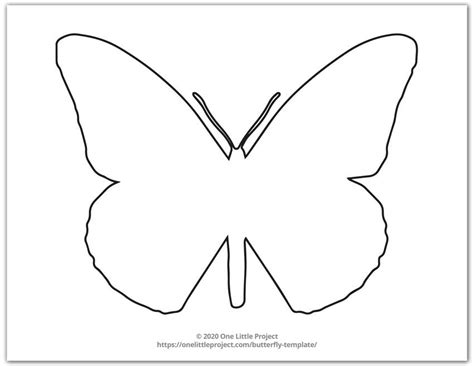 Butterfly Template | Free Printable Butterfly Template