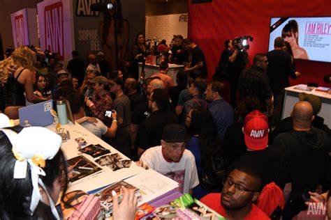 2020 AVN Expo - Adult Studios | AVN