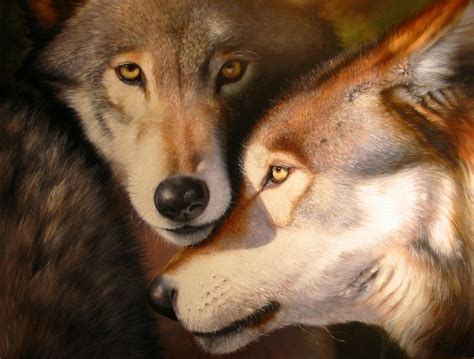 Two wolves - Wolves Fan Art (31322329) - Fanpop