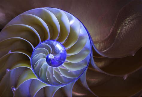 Nautilus - Pentax User Photo Gallery