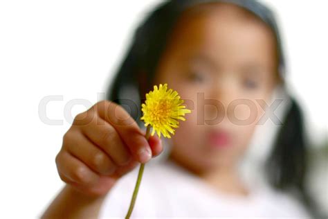 dandelion child | Stock image | Colourbox