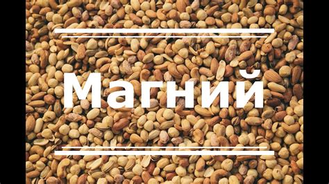 Магний - функции, польза для здоровья, признаки дефицита. Продукты ...