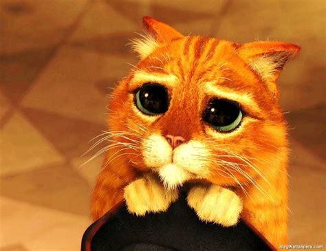 Puss In Boots Eyes - Peanut Butter Fingers