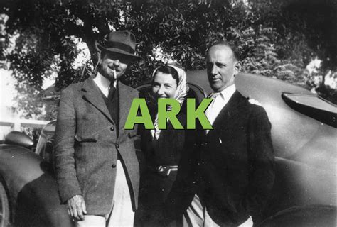 ARK Meaning » Slang.org