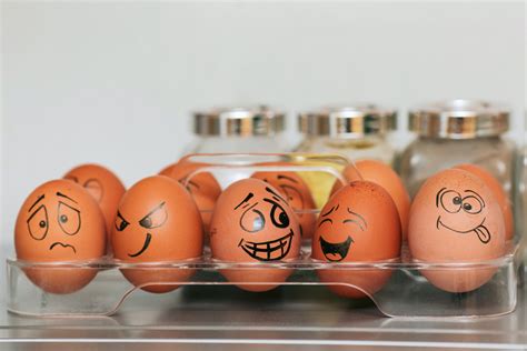 Не торопитесь выкидывать. 10 продуктов, которые можно есть даже по ...