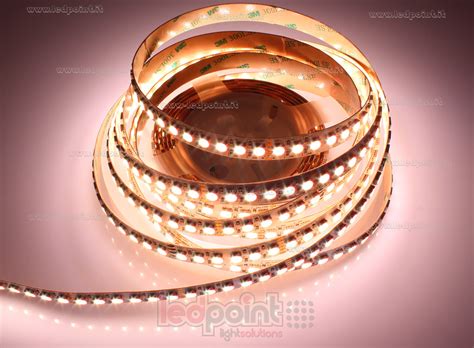 Ledpoint S.r.l. | Striscia led 5m 5050 4in1 RGB + bianco 4000K 120led/m ...