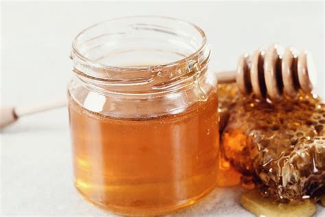 foto  beda madu trigona  madu biasa  rasa hingga harga