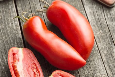 7 Probiotic Trends You Need to Know About Lactobacillus rhamnosus ...