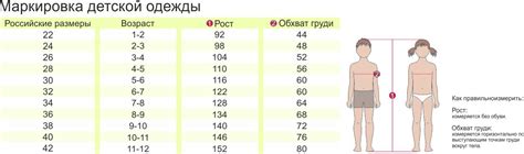 Таблицы размеров