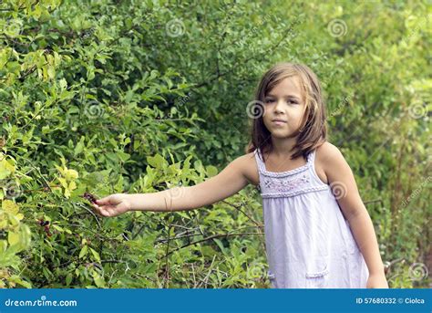 Little Girl Picking Wild Berries Stock Photo - Image of eating, organic ...