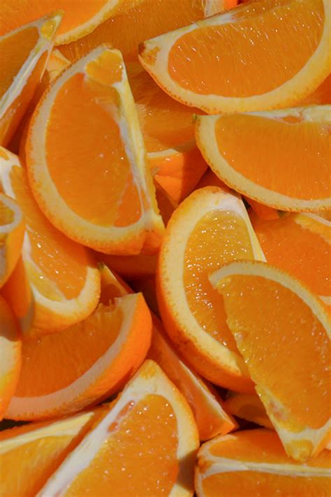 orange aesthetic images   orange aesthetic orange orange