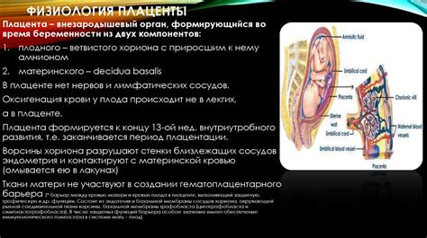 Плацентарная недостаточность - презентация онлайн