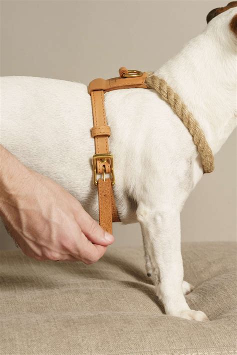 Шлейка | Dog harness, Dog harness leather, Dog vest harness