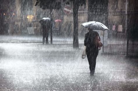 Free photo: Rainy Weather - Agricultural, Landscape, Stormy - Free ...