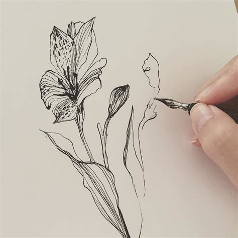 Рисовашки 😍 Все пальцы в туши, красота! 👌 #арт #рисунок … | Flickr
