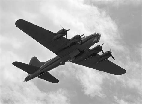 Survivorship Bias | Travis White Communications