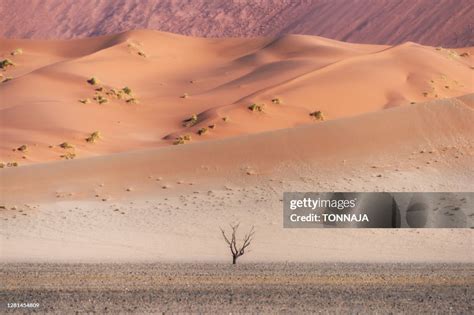 The Sand Dunes Of Namib Desert Namibnaukluft National Park Namibia High ...