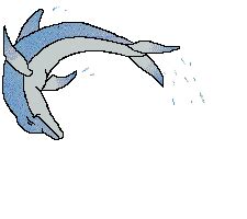 Gifs animados de Delfines, animaciones de Delfines