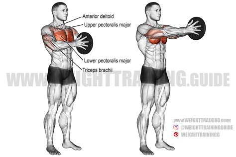 Svend press exercise instructions and video | Weight Training Guide