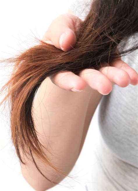 8 Home Hair Remedies For Damaged Hair : How To Repair Damaged Hair | Damaged hair repair, Hair ...