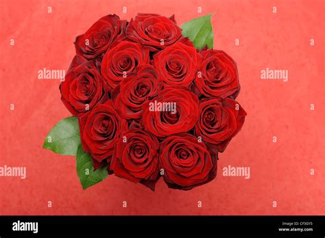 Bouquet of red roses Stock Photo - Alamy