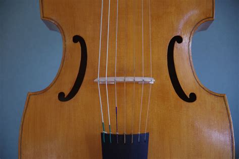 viola da gamba