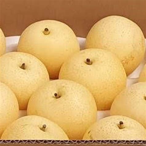 Nashi pear - 黄金梨/水晶梨
