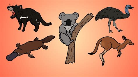 How To Draw Australian Animals - Lackbowl