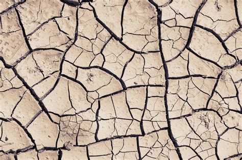 cracked dry land  stock photo