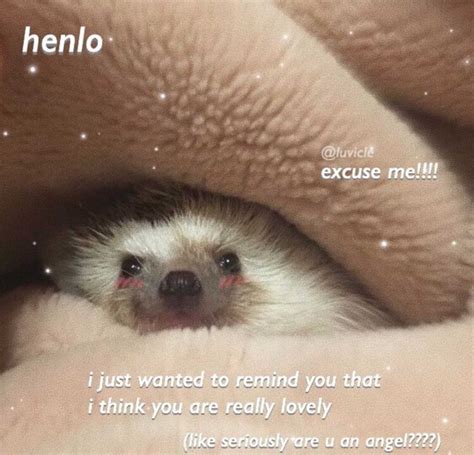 These Flirty Memes For Her Will Spice Up Your Relationship! Image 2