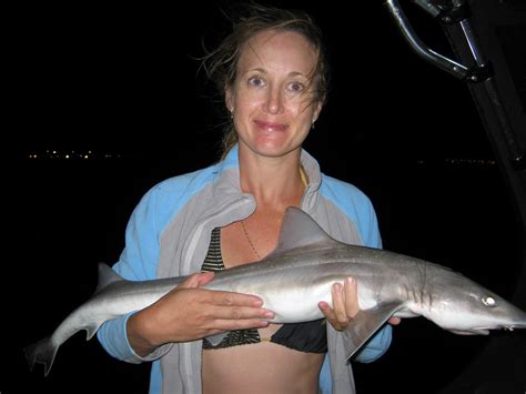 1st night fish in the sound | Fishing - Fishwrecked.com - Fishing WA
