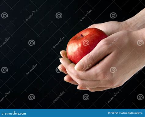 apple  hands stock photo image  human whites fruits