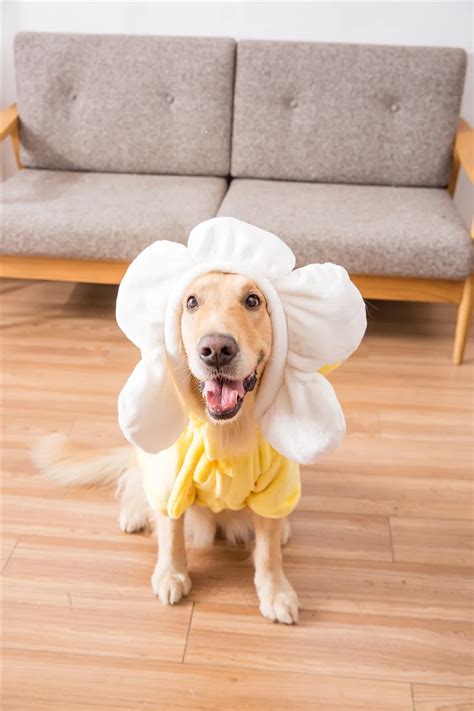 Hipidog Подсолнух Милая одежда для больших собак фланелевая Флисовая ...