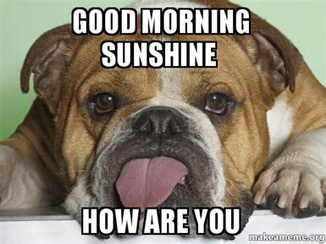 Funny Cute Silly Good Morning Memes
