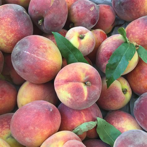 San Leandro Farmers' Market at Bayfair Center — California Farmers
