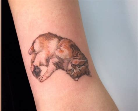 #тату #кошка | Animal tattoo, Tattoos, Masterpiece