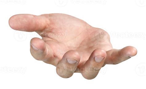 Hand PNGs for Free Download