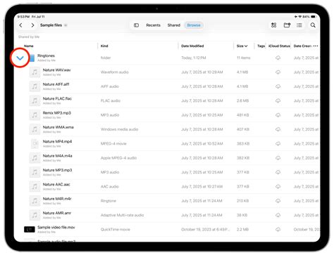 How to add, resize, and arrange columns in Apple Files app