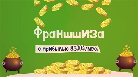 Какие франшизы реально работают - самые доходные в России