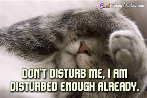 Don't disturb me, I am disturbed enough already.
