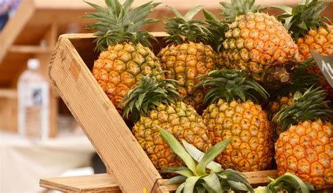 How to Pick a Pineapple - 7 Tips - Farmhouse Guide