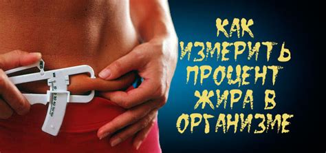 5 способо определить процент подкожного жира в организме