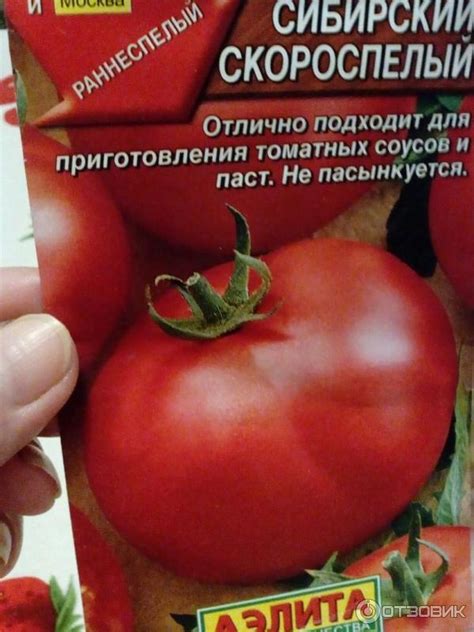 Отзыв о Семена томата Аэлита "Сибирский скороспелый" | Теперь ...
