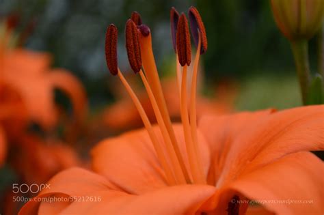 Eye Reports | Art, Photography