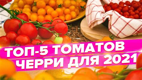 ТОП-5 СИБИРСКИХ ТОМАТОВ ЧЕРРИ ДЛЯ 2021 - YouTube