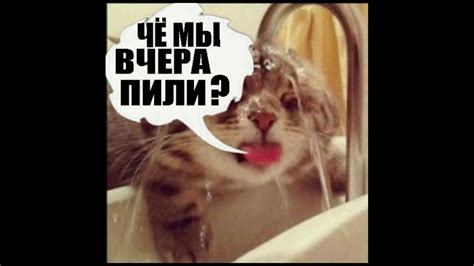 Привет с большого бодуна - YouTube