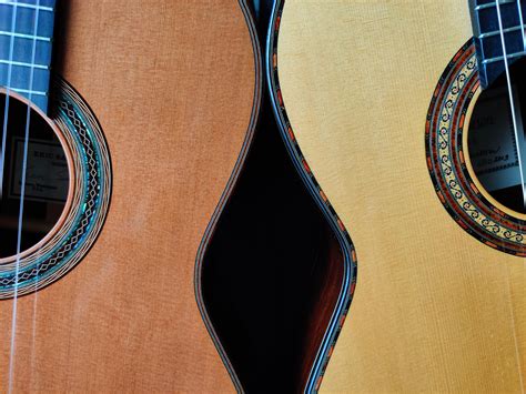 I've settled the Spruce vs Cedar debate once and for all. Buy both! : r