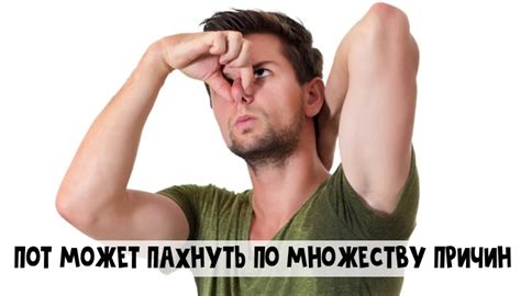 Как избавиться от запаха пота - Красота и здоровье - Calorizator.ru