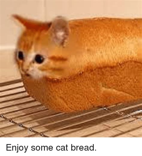 Enjoy some cat Bread. : r/breadcult