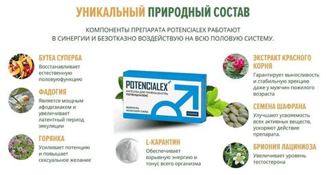 Потенциалекс. Купить Потенциалекс (Potencialex) для усиления потенции